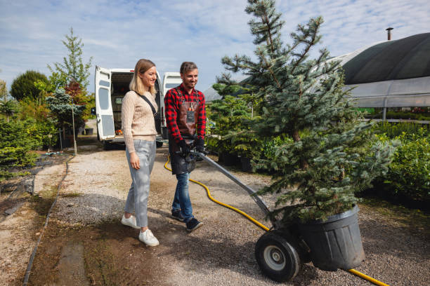 Best Residential Tree Removal  in Bartow, FL